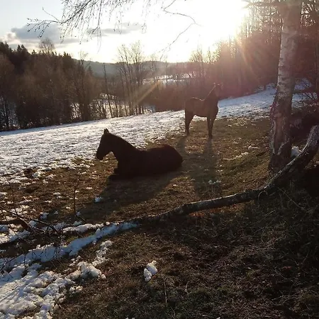 Charmante Im Landhausstil Lejlighed Kasperske Hory