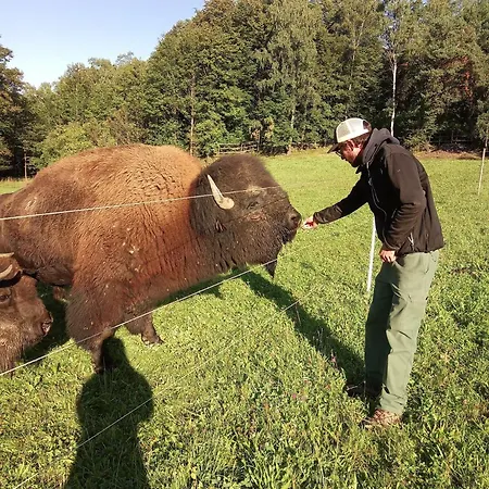 Caldisfarm Bison I Charmante Im Landhausstil Appartamento