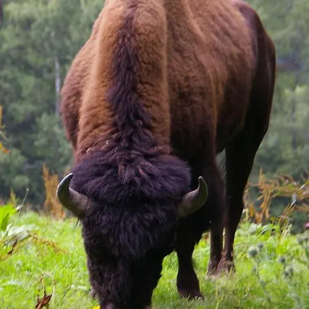 Charmante Im Landhausstil * Kasperske Hory